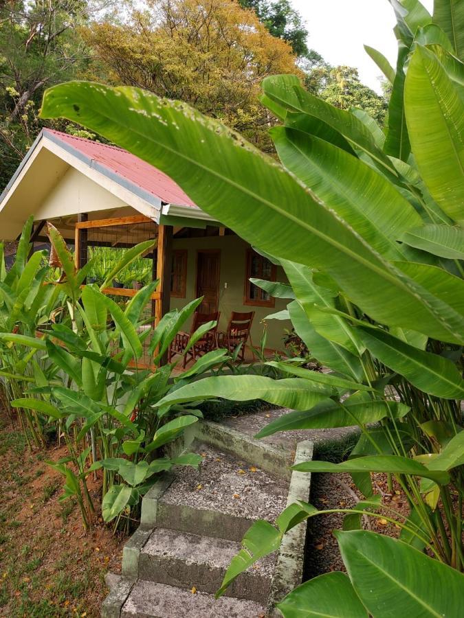 Cabina Rancho La Merced Uvita Exteriör bild